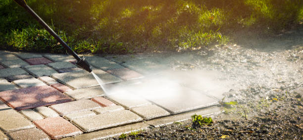 Boat and Dock Cleaning in Brownlee Park, MI